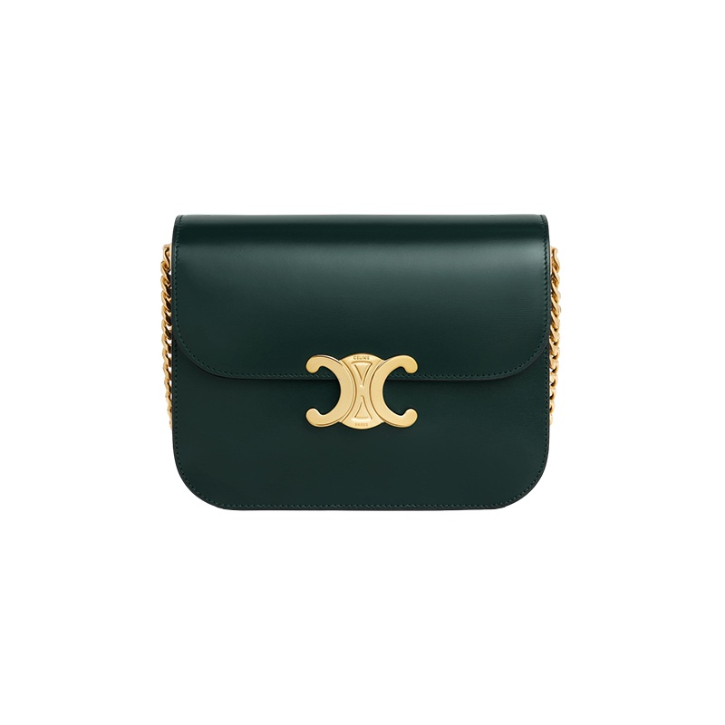 商品Celine|赛琳 23新款 COLLEGE女士中号色亮泽小牛皮金属扣链条斜挎包 113583BF4.31AN,价格¥23342,第2张图片详细描述