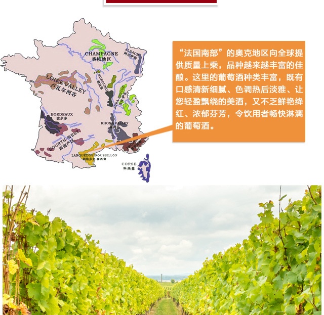 商品[国内直发] Majestic Wine|小阳伞干红葡萄酒（橡木塞）,价格¥199,第5张图片详细描述