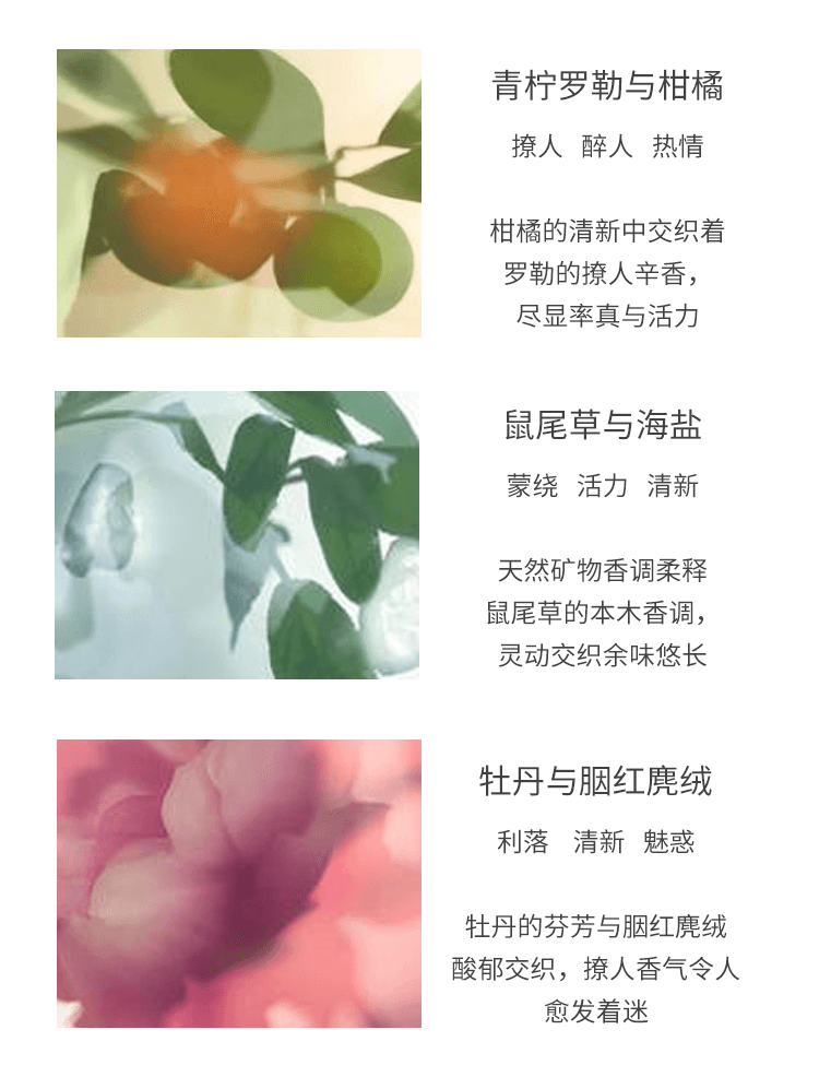商品Jo Malone London|Jo Malone祖玛珑车载香薰固体香氛 汽车香水 ,价格¥234,第12张图片详细描述