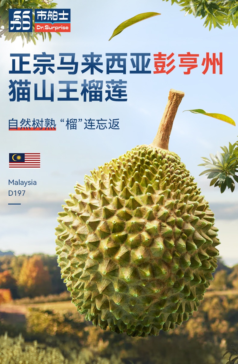 商品[国内直发] Dr.Surprise|市舶士马来西亚彭亨州猫山王 新鲜水果液氮冷冻保鲜带壳榴莲D197整个【非次日达】,价格¥9423,第2张图片详细描述