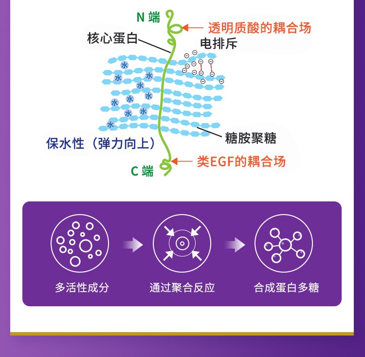 商品[国内直发] TIME NATURE|元歲榮養 PELOPS NMN歩生強肌 健骨關節丸 90粒,价格¥839,第4张图片详细描述