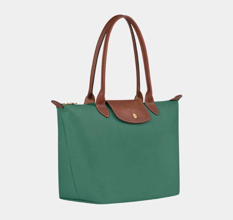 商品Longchamp|【预售6月20日左右发货】珑骧女士多色中小号长柄经典饺子包手提包2605 089（香港仓发货）,价格¥849,第11张图片详细描述