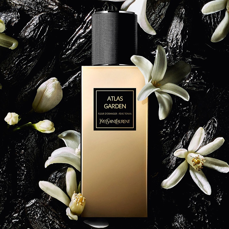 商品Yves Saint Laurent|YSL圣罗兰东方系列中性香水75ml EDP浓香水,价格¥1535,第12张图片详细描述
