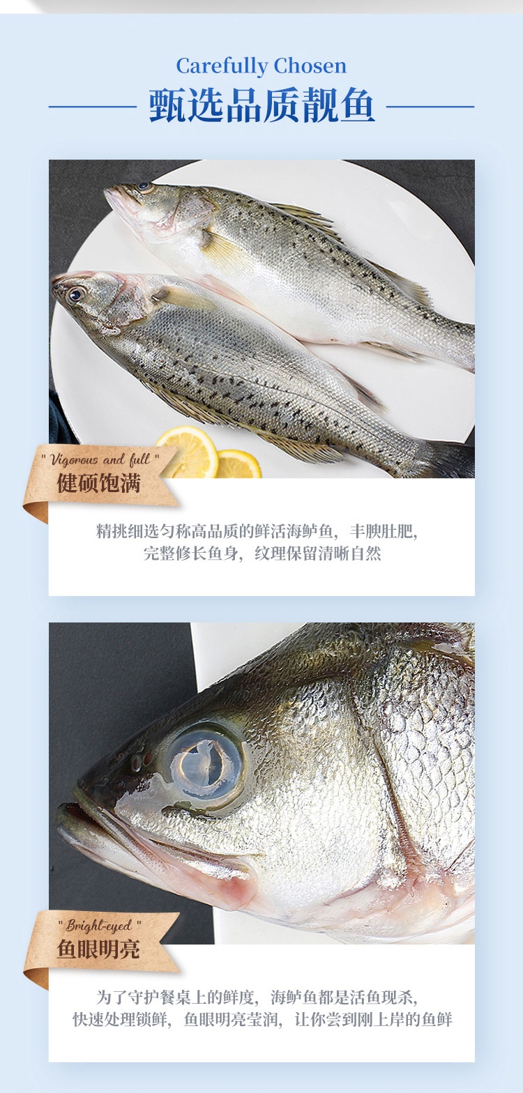 商品Pinzhenxianhuo|品珍鲜活 白蕉海鲈鱼 400g/500g（3件装）,价格¥191,第5张图片详细描述