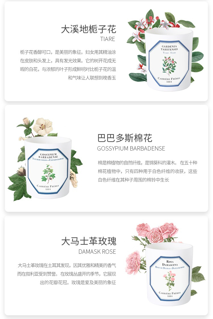 商品Carriere Freres|Carriere Freres法国植物学家全系列香薰蜡烛185g,价格¥373,第20张图片详细描述