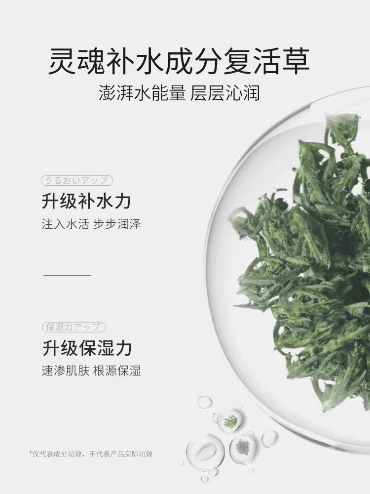 商品Bb LABORATORIES|BB LABORATORIES 复活草补水面膜 175G,价格¥192,第5张图片详细描述