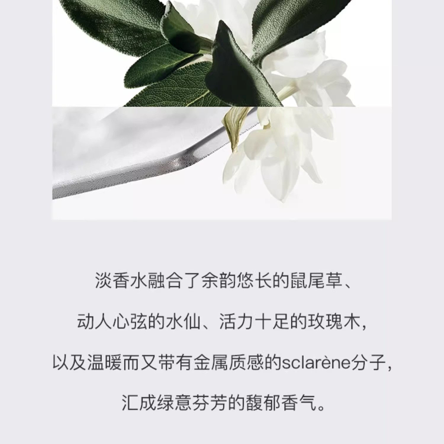 商品Hermes|Hermes爱马仕律动二十四H24男香水50ml/100ml木质调【香港直邮】,价格¥353,第3张图片详细描述