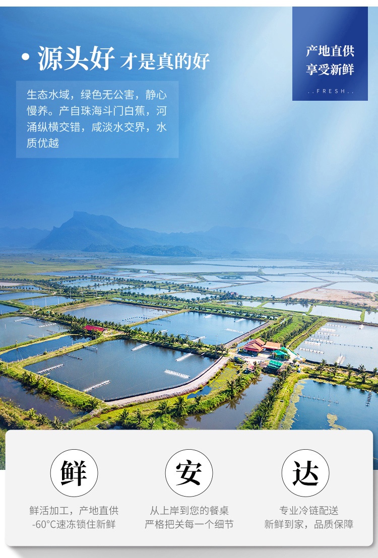 商品Pinzhenxianhuo|品珍鲜活 白蕉海鲈鱼 400g/500g（3件装）,价格¥191,第4张图片详细描述
