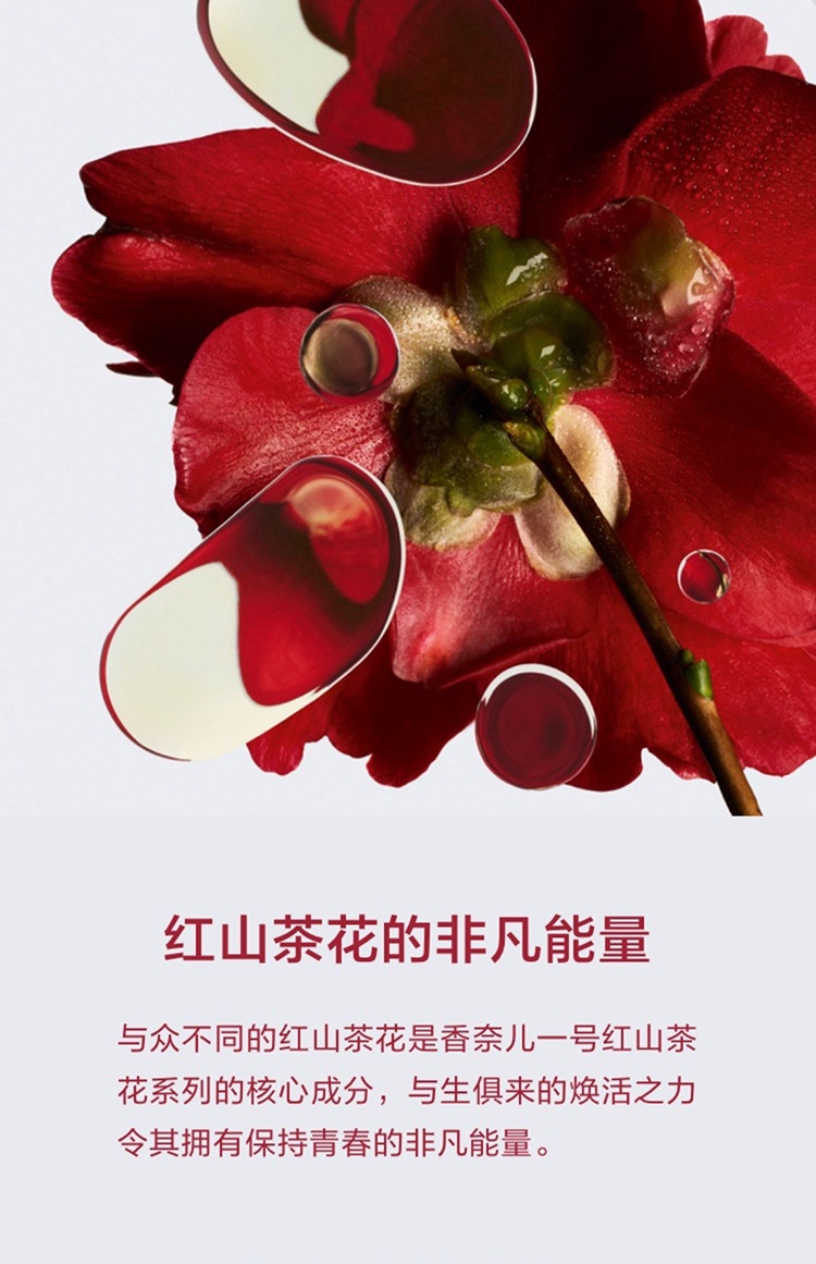 商品Chanel|Chanel香奈儿一号红山茶花滋润型面霜50ml,价格¥858,第8张图片详细描述