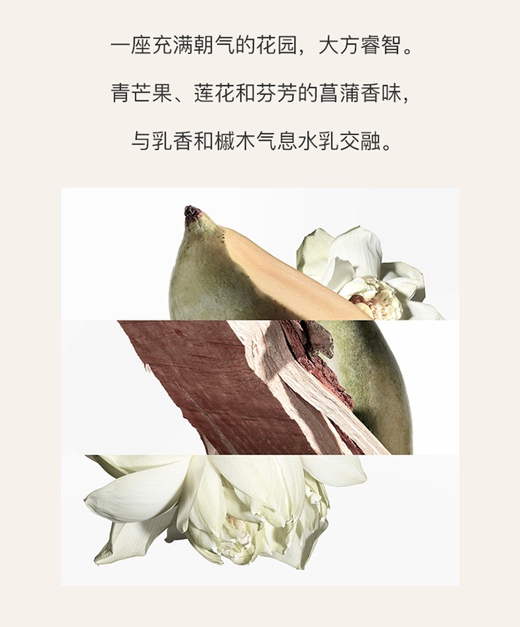 商品Hermes|爱马仕尼罗河花园香水套装 淡香水100ml+淡香水15ml+沐浴露40ml,价格¥682,第4张图片详细描述