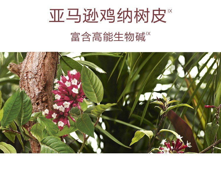 商品KLORANE|康如金鸡纳防脱三件套 洗发露400ml+护发素200ml+精华喷雾100ml,价格¥470,第5张图片详细描述