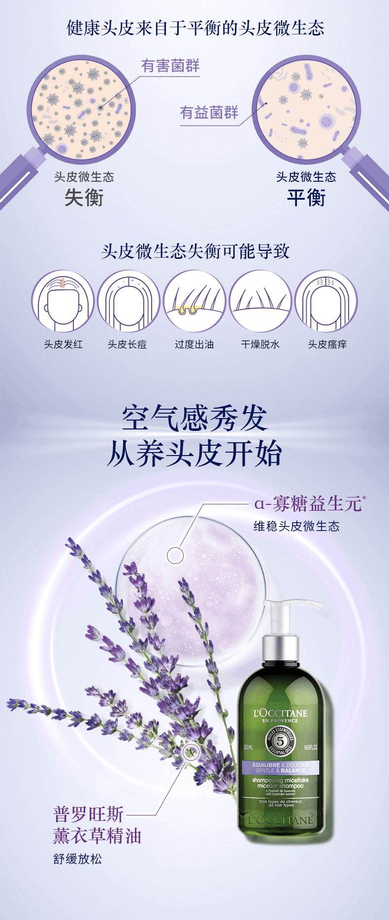 商品L'Occitane|欧舒丹5合1草本菁纯平衡洗发500ml丰盈蓬松滋养控油大瓶,价格¥256,第4张图片详细描述