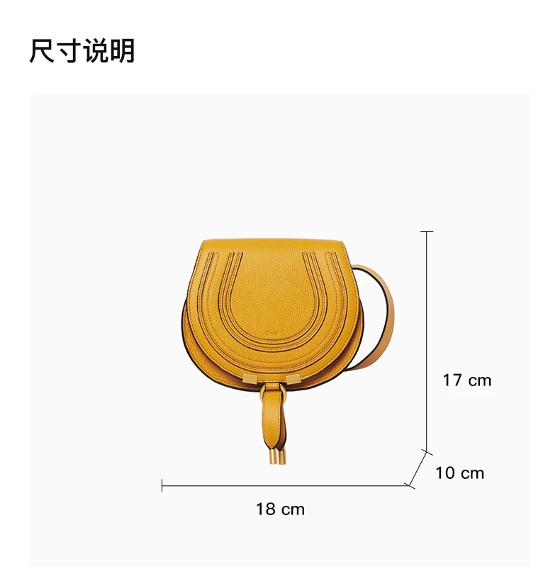 商品[国内直发] Chloé|CHLOE' 女士棕色皮革斜挎包 C21AS680-F01-216,价格¥4365,第3张图片详细描述