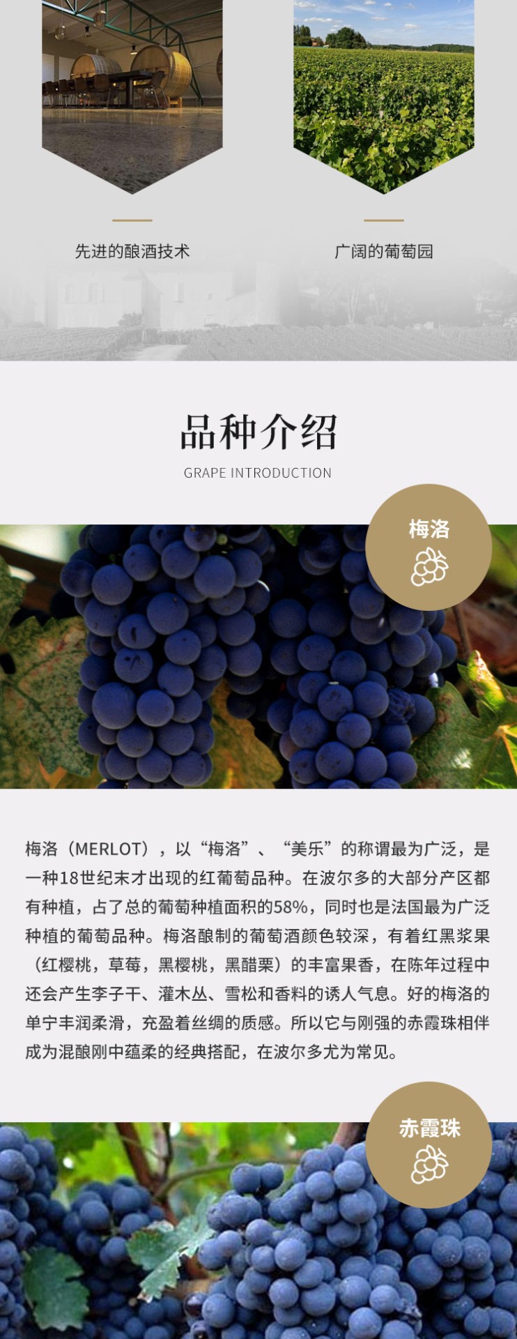 商品[国内直发] Chateau Trocard|超级波尔多托卡酒庄托卡老树干红葡萄酒Jean-Louis Trocard Chateau Trocard,价格¥204,第4张图片详细描述