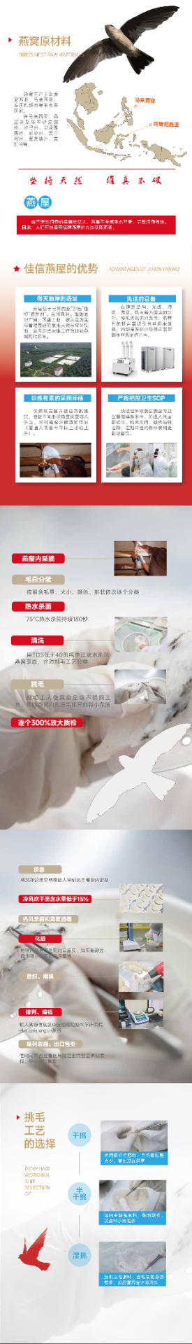 商品[国内直发] Xinyuyan|毛燕原料中毛无需挑毛燕盏（珍优）燕窝100g 200g装,价格¥2307,第3张图片详细描述