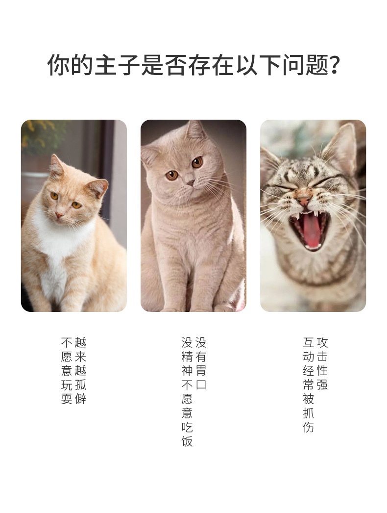 商品[国内直发] GLENVINTEN|宠物逗猫棒7七件套猫玩具逗猫组合套装��小鱼木杆老鼠逗猫棒猫玩具,价格¥90,第1张图片详细描述