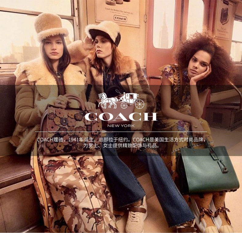 商品[国内直发] Coach|COACH 小号女士牛皮革单肩斜挎手提包 C5982B4DOY,价格¥2494,第1张图片详细描述