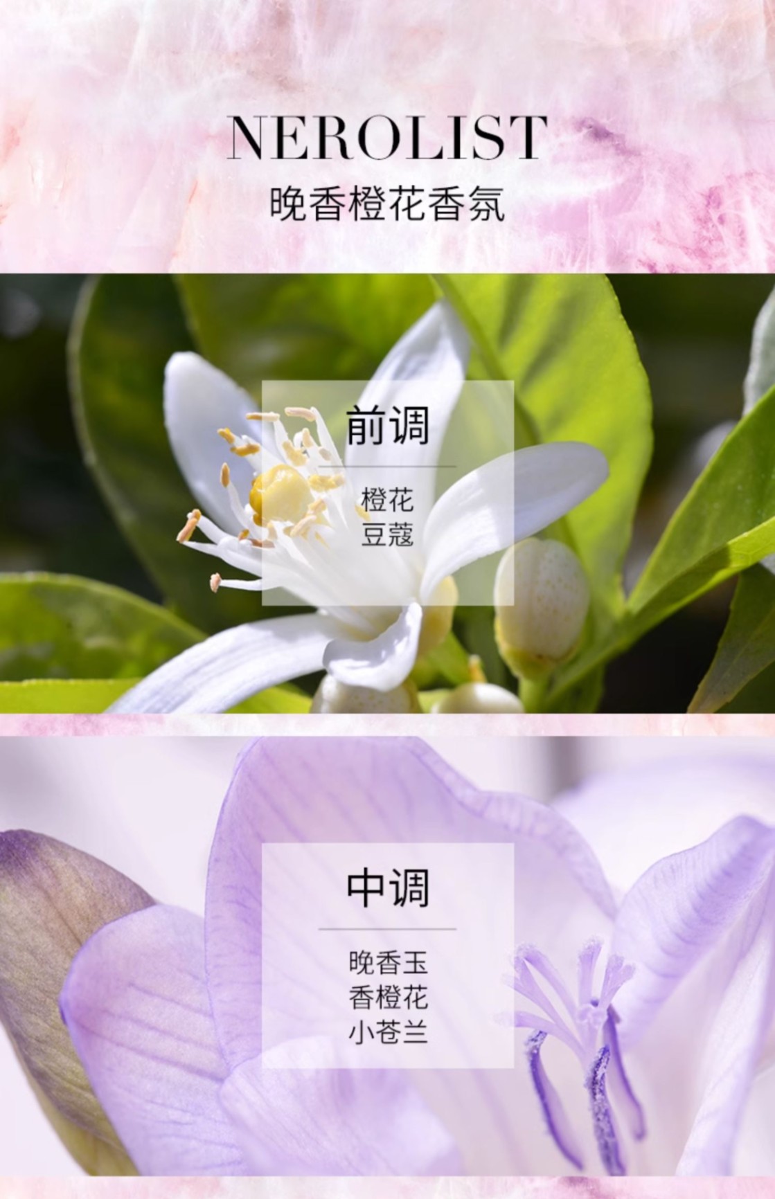 商品Kérastase|Kérastase卡诗 氨基酸水光洗发露琉彩臻护沁透洗发水 250ml 修护留香柔顺滋润,价格¥156,第15张图片详细描述