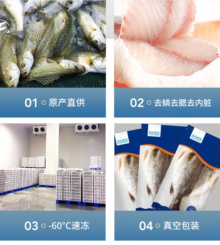 商品Pinzhenxianhuo|品珍鲜活 白蕉海鲈鱼 400g/500g（3件装）,价格¥189,第3张图片详细描述