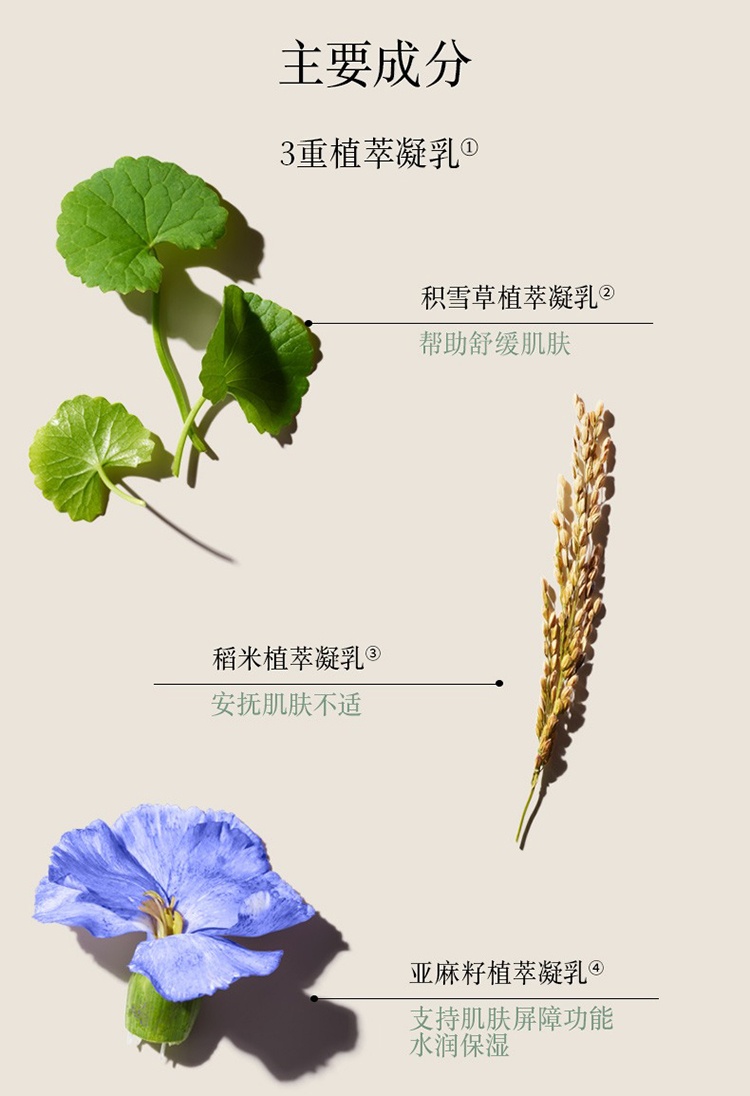 商品Fresh|馥蕾诗奶香手霜50ml,价格¥183,第8张图片详细描述