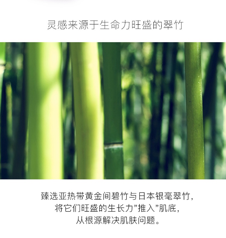 商品[国内直发] Estée Lauder|雅诗兰黛(Estee Lauder)紧实抗皱竹粹水200ml,价格¥464,第4张图片详细描述
