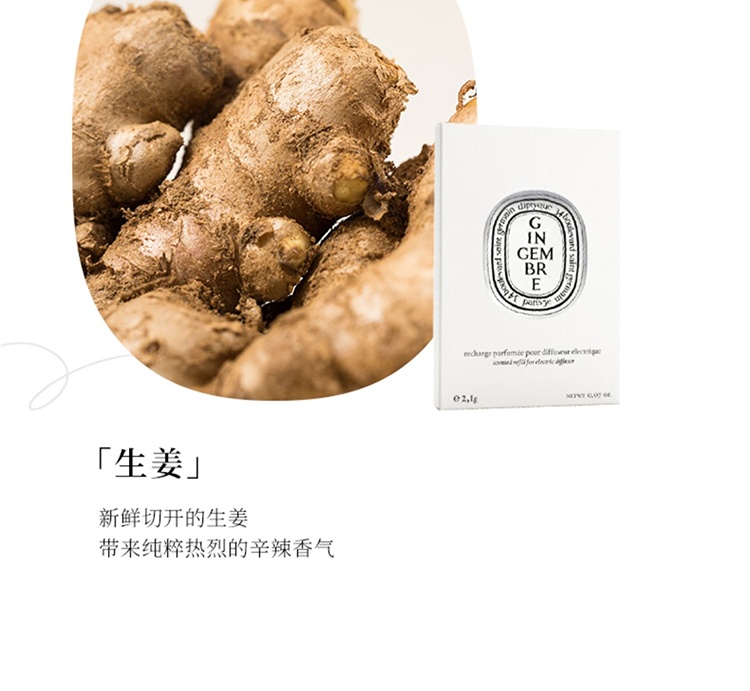 商品Diptyque|Diptyque蒂普提克车载全系列车载香薰 扩香器填充包2.1g,价格¥359,第11张图片详细描述