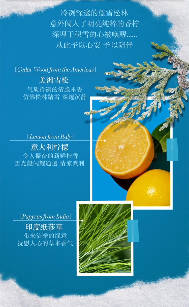 商品Atelier Cologne|Atelier Cologne欧珑雪松之恋香水30ml,价格¥361,第3张图片详细描述