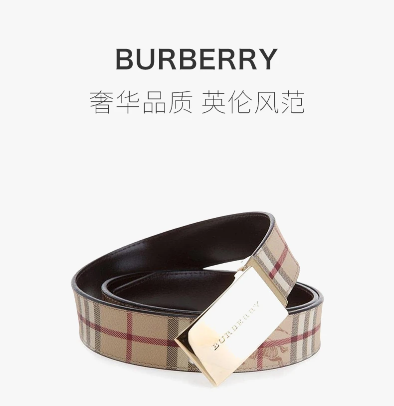 商品Burberry|BURBERRY 女士格纹腰带 3742237,价格¥2010,第2张图片详细描述