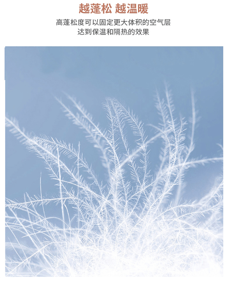 商品[国内直发] ROBINHOOD|罗宾汉立领轻薄时尚羽绒服-R228Y5419-蓝色,价格¥281,第12张图片详细描述