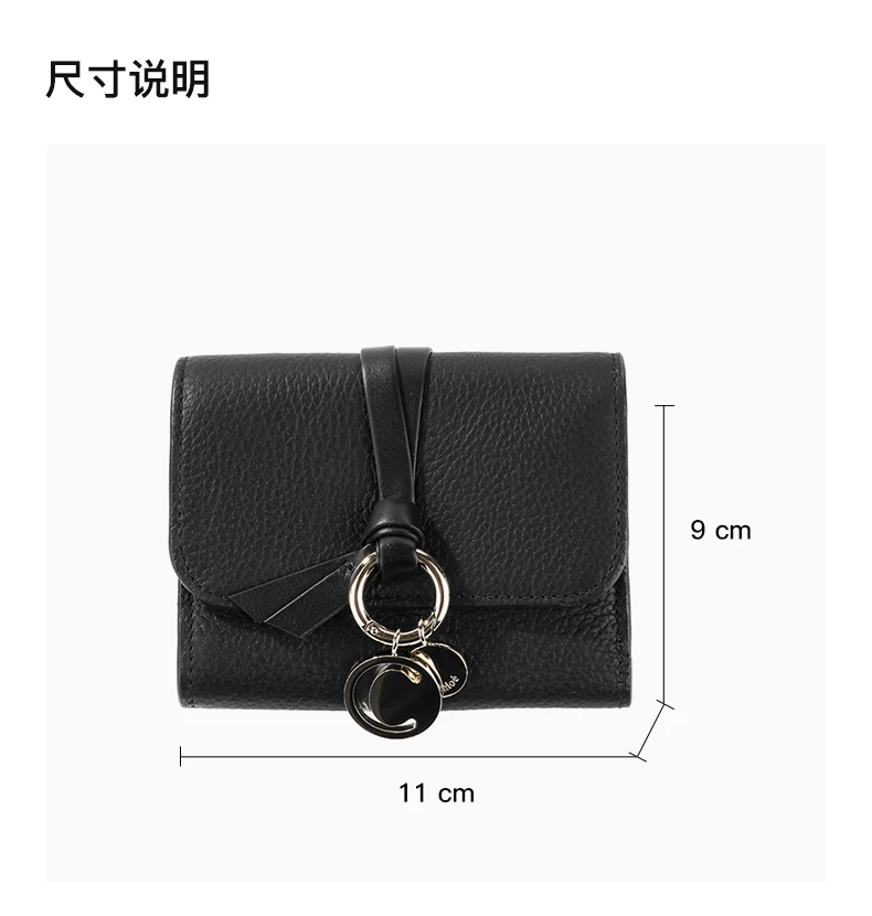 商品Chloé|Chloè 女士斜挎包 C21WP945-F57-001,价格¥2416,第3张图片详细描述