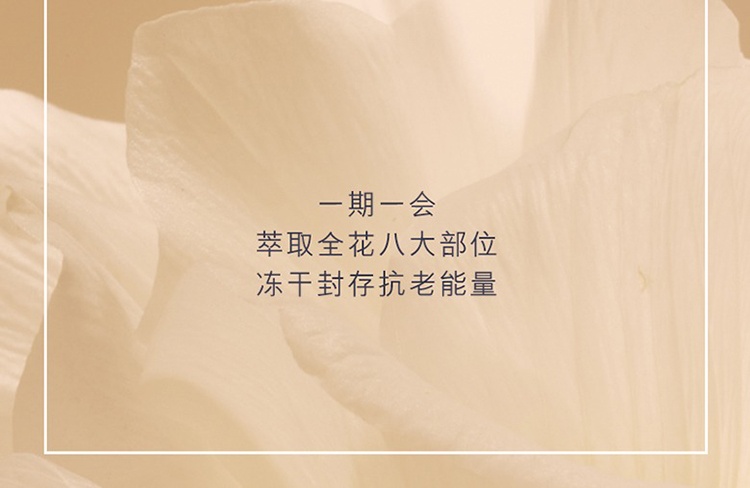 商品Estée Lauder|Estee Lauder雅诗兰黛全新胶原霜 乳霜50ml 弹嫩保湿,价格¥600,第7张图片详细描述