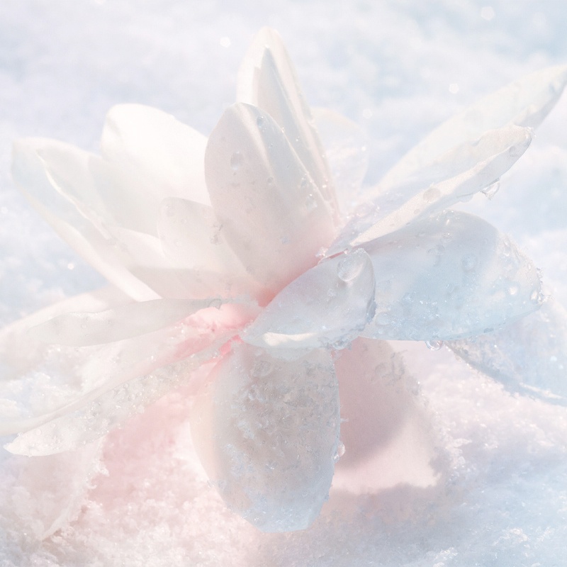 商品Dior|Dior迪奥雪晶灵光蕴焕亮轻盈防护乳30ML,价格¥437,第4张图片详细描述
