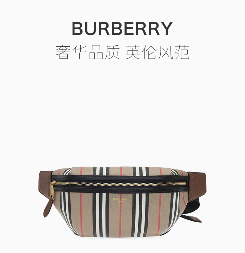 商品Burberry|BURBERRY 条纹女士腰包 8026838,价格¥3999,第3张图片详细描述