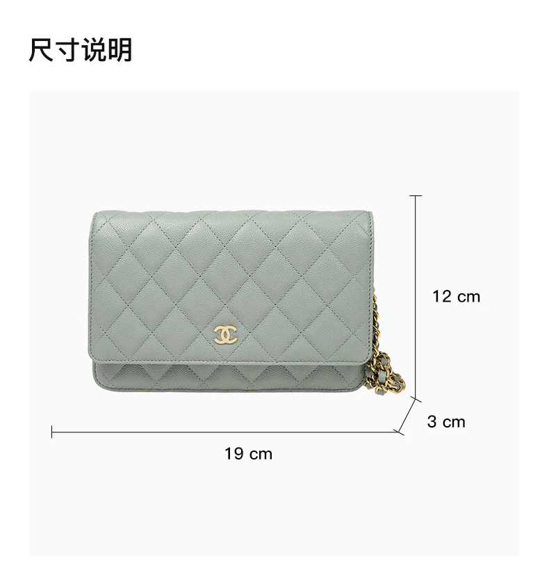 商品[国内直发] Chanel|CHANEL 湖水绿女士单肩包 AP0250CLAGGP,价格¥30223,第3张图片详细描述