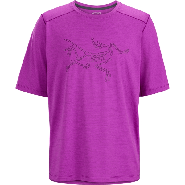 商品【夏休延期至7月底发货】 Arc'teryx|【Brilliant|包邮包税】始祖鸟 CORMAC LOGO SS M[SS23] 新款上市 Komak Logo SS 男士 ATNSMX6348,价格¥730,第4张图片详细描述