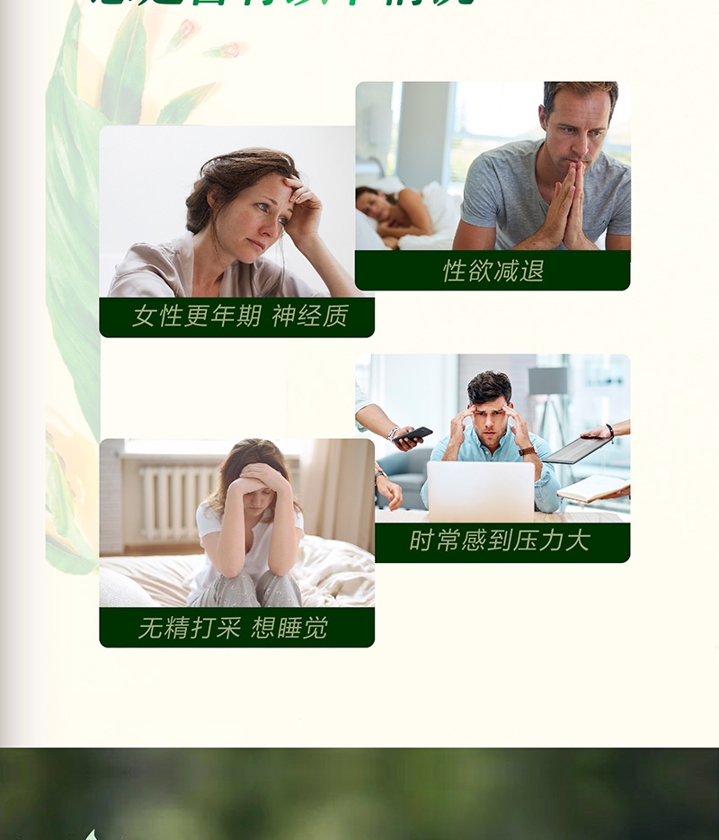 商品[国内直发] Vitanergy|【2025年12月有效期】加拿大维生能Vitanergy玛咖高丽参精华90粒/瓶 补肾养精 提高活力 | Vitanergy Maca w/Ginseng VCAP 90【2025年12月有效期】,价格¥199,第3张图片详细描述