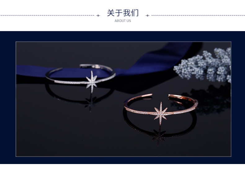 商品[国内直发] 【春节不打烊，国内现货速发】 apm Monaco|APM Monaco星月项链女星星月亮锁骨链 轻奢小众毛衣链送女友礼物,价格¥924,第5张图片详细描述