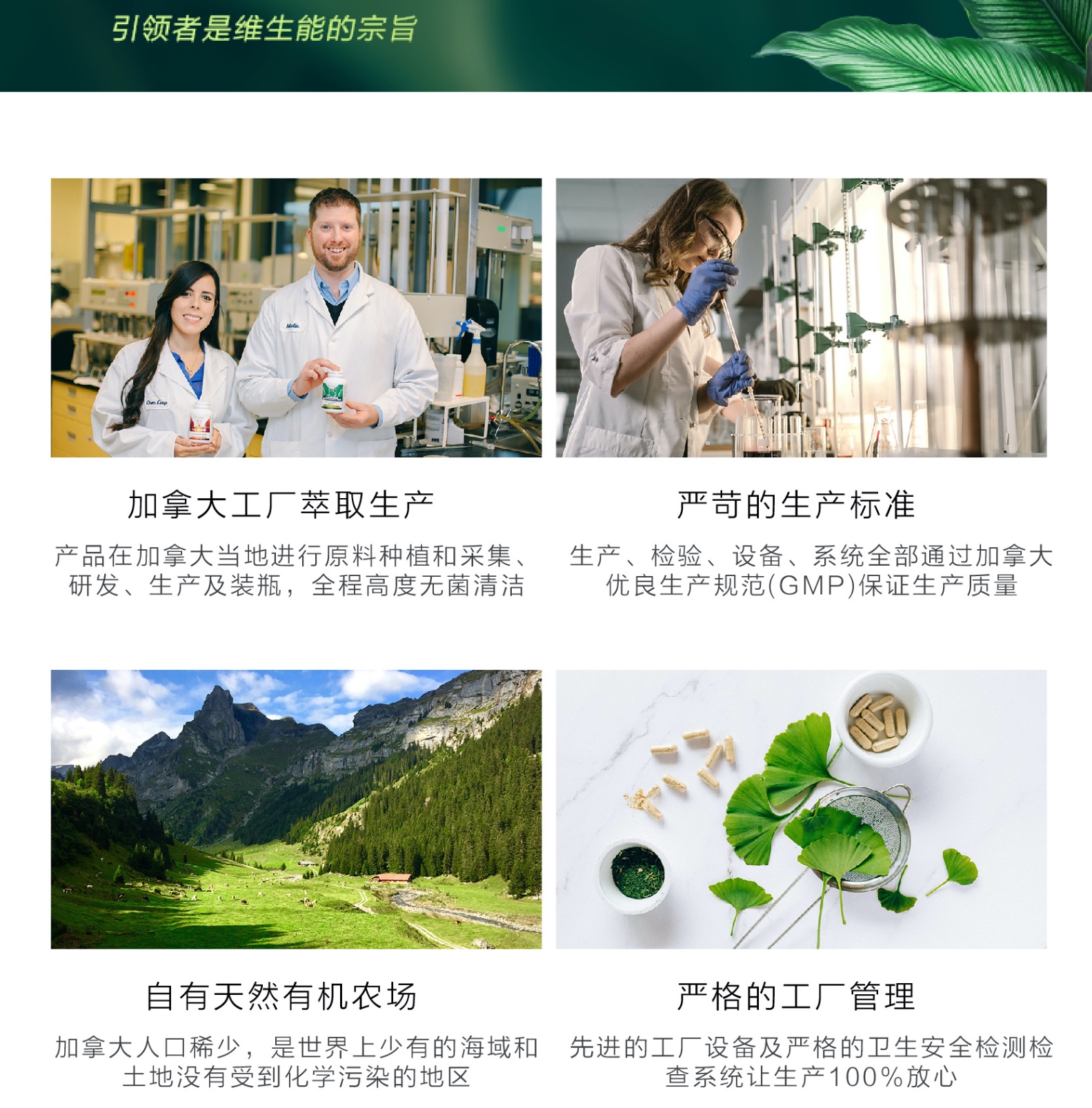 商品[国内直发] Vitanergy|加拿大Vitanergy维生能肉桂精华 平衡血糖 增强体质 调节高血糖 60/瓶 | Cinnamon Extract【有效期2024年8月】,价格¥29,第12张图片详细描述
