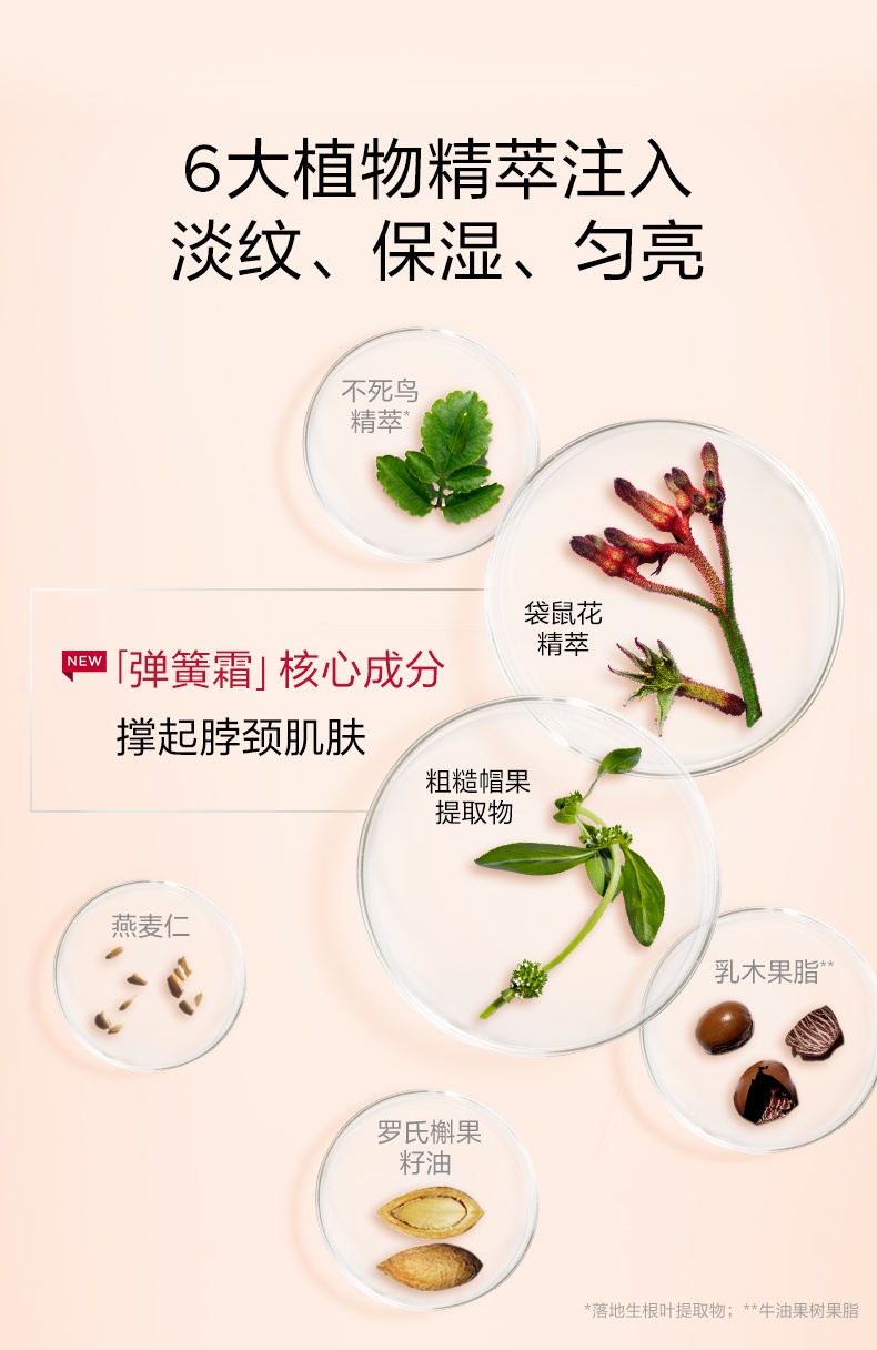 商品[国内直发] Clarins|【迷人天鹅颈】CLARINS 娇韵诗 焕颜紧致颈纹霜 75毫升 淡化颈纹,价格¥567,第3张图片详细描述