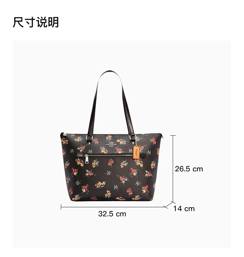 商品[国内直发] Coach|COACH 印花女士手提包 F6474SVA47,价格¥2088,第3张图片详细描述