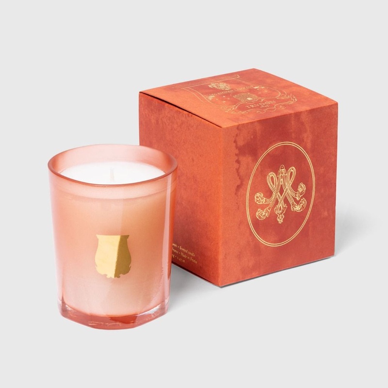 商品Cire Trudon|希拉·楚顿 Tuileries系列香薰蜡烛70-2800克 卧室香氛持久香气,价格¥384,第8张图片详细描述