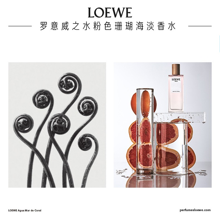 商品Loewe|Loewe罗意威之水彩虹系列男女士香水50-100-150ml EDT淡香水 ,价格¥417,第8张图片详细描述