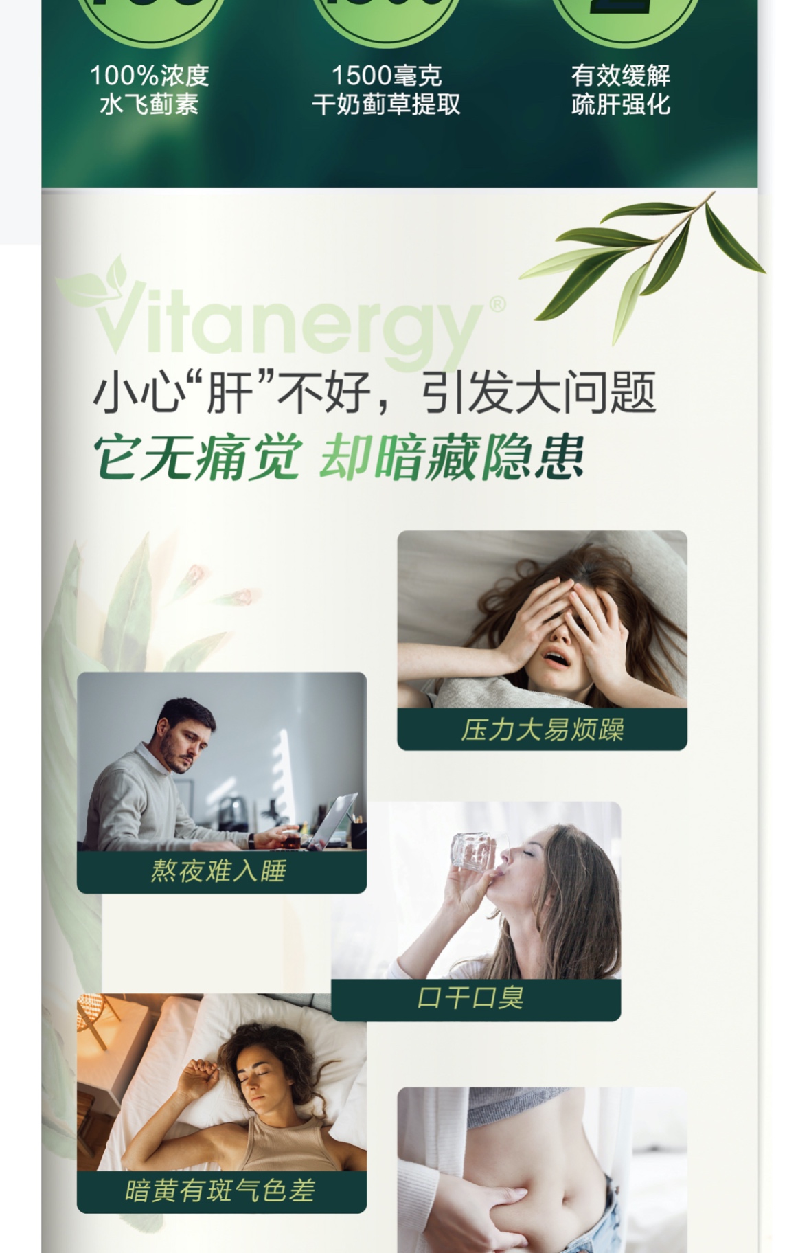 商品[国内直发] Vitanergy|加拿大Vitanergy维生能奶蓟草精华护肝片解酒 成人醒酒 熬夜 排毒 保肝利胆90粒 | Milk Thistle【2025年5月有效期】,价格¥210,第2张图片详细描述