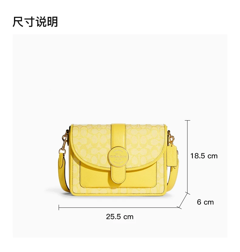 商品[国内直发] Coach|COACH 女士黄色老花帆布配皮单肩斜挎包 C8307IMS9V,价格¥2245,第3张图片详细描述