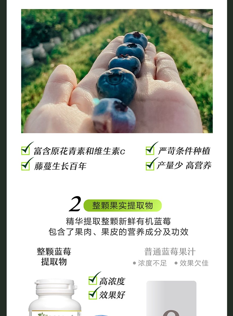 商品[国内直发] Vitanergy|【2025年3月有效期】加拿大维生能蓝莓精华 葡萄籽精华 美白花青素 抗氧化护眼抗衰老 90粒 | Blueberry Concentrate,价格¥51,第6张图片详细描述