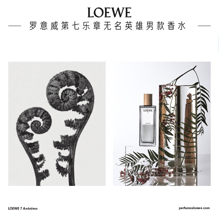 商品Loewe|LOEWE罗意威 无名英雄 男士香水 檀香木皮革调 EDP 50ml,价格¥509,第2张图片详细描述