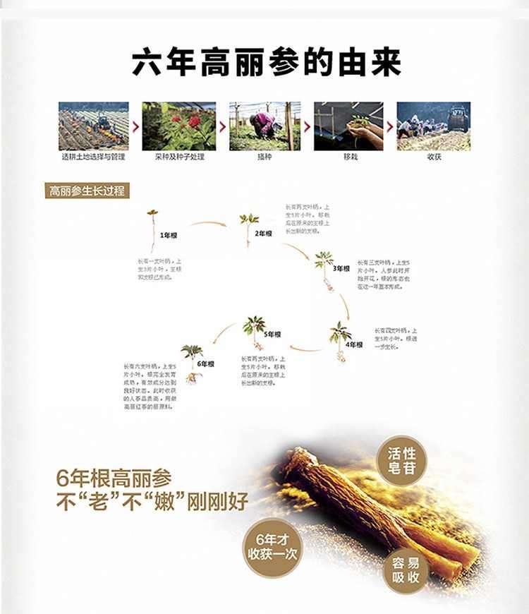 商品Jeong Gwanjang|【15天预售|韩国直邮|包邮包税】正官庄 贤 性价比首选 红参精 120g 提高免疫力 改善疲劳 增进记忆力,价格¥281,第12张图片详细描述