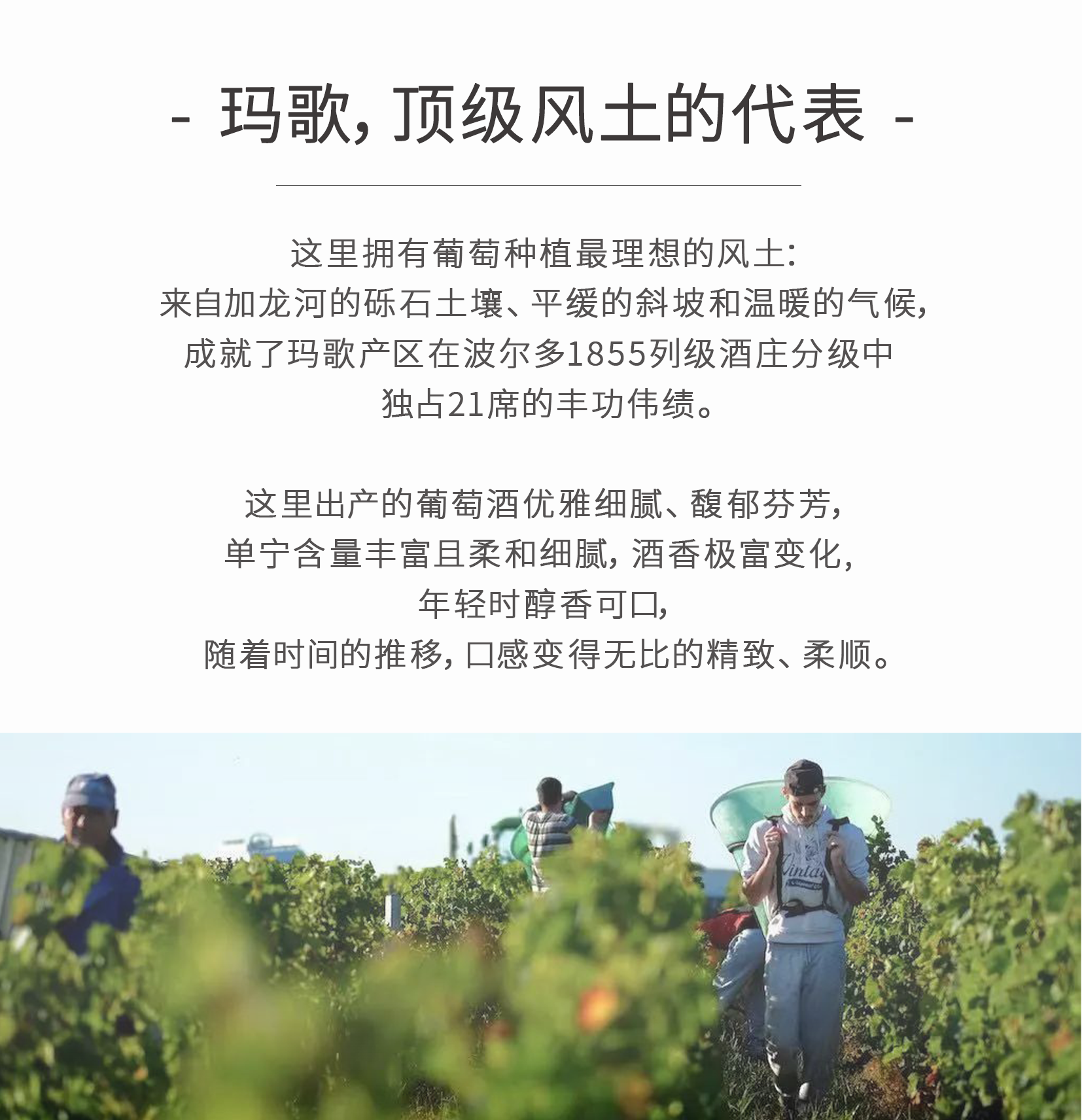 商品[国内直发] Bordeaux Z|Bordeaux Z 波尔多Z白葡萄酒2020、波尔多Z系列混酿2016（1件起送）-全国顺丰包邮，偏远地区除外,价格¥195,第11张图片详细描述