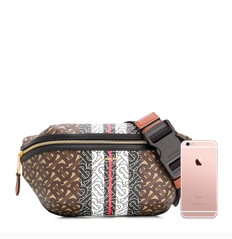 商品Burberry|BURBERRY 棕色女士腰包 8021483,价格¥3701,第3张图片详细描述