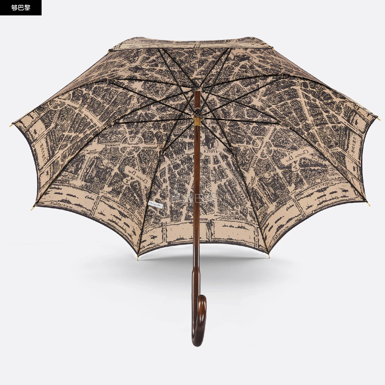 商品Dior|【预售】 迪奥 25春夏 女士 伞 Walk'n'Dior 雨伞 35CPA200I153_C133 ,价格¥11773,第5张图片详细描述